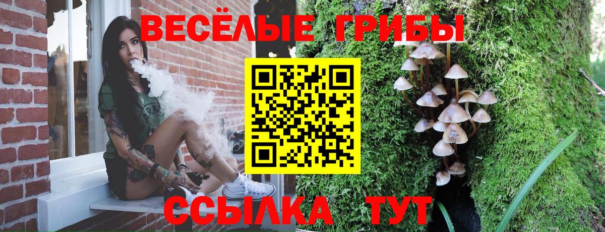 сколько стоит  Вход с VPN  Галлюциногенные грибы Magic Shrooms  Чистополь  Галлюциногенные грибы прущие грибы 